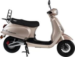 djjd cashmere champagne