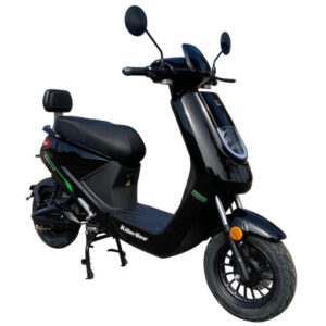 eletrice glans zwart